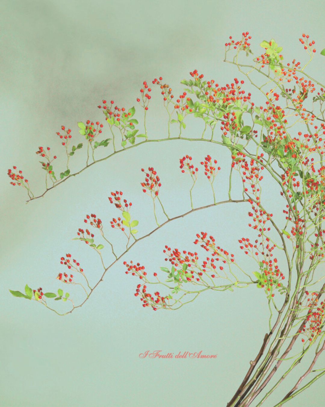 14.jpg__PID:9499100c-76bf-427d-9751-53da19f79f50